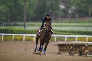 Breeders' Cup 2023: Odds and Predictions for All Races