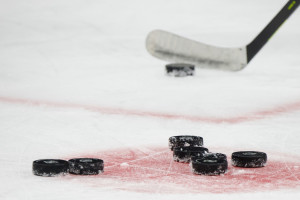 AHL Coach Bob Nardella Suspended 10 Games for Using Anti-Gay Language Toward Ref