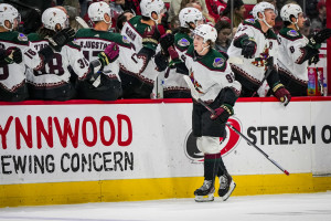 Coyotes Buy Land for Arena in Phoenix, Announce Intention to Stay in Arizona