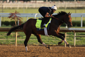 Kentucky Derby Field 2024: Entries List, Betting Lines and Picks