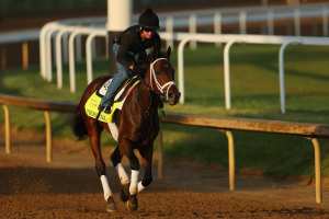 Kentucky Derby 2024 Lineup: Full Race Guide for All Horses and Jockeys