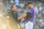 DENVER, CO - JUNE 14: Austin Gomber #26 of the Colorado Rockies has a word with umpire David Rackley #86 regarding his handling of the ball while pitching after the top half of the first inning at Coors Field on June 14, 2021 in Denver, Colorado. (Photo by Dustin Bradford/Getty Images)