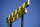 Signage is posted on the inside windown of a Waffle House restaurant, near Kennesaw State, Wednesday, March 25, 2020, in Kennesaw, Ga. (AP Photo/Mike Stewart)