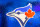 TORONTO, ONTARIO, CANADA - 2015/05/13: Square Logo of the Toronto Blue Jays baseball team on a blue frosted glass. The logo features the head of the 'Blue Jay' bird and the Canadian maple leaf in red.
The Toronto Blue Jays are a Canadian professional baseball team based in Toronto, Ontario. The Blue Jays are a member of the East division of the American League in Major League Baseball. (Photo by Roberto Machado Noa/LightRocket via Getty Images)