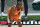 Phoenix Suns guard Chris Paul (3) watches against the Milwaukee Bucks during the second half of Game 6 of basketball's NBA Finals in Milwaukee, Tuesday, July 20, 2021. (AP Photo/Paul Sancya)