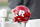 CHAMPAIGN, ILLINOIS - NOVEMBER 02: The Rutgers Scarlet Knights helmet on the sidelines in the game against the Illinois Fighting Illini at Memorial Stadium on November 02, 2019 in Champaign, Illinois. (Photo by Justin Casterline/Getty Images)