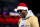 ORCHARD PARK, NEW YORK - DECEMBER 06: Terrell Owens reacts prior to a game between the Buffalo Bills and the New England Patriots at Highmark Stadium on December 06, 2021 in Orchard Park, New York. (Photo by Bryan M. Bennett/Getty Images)