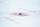 A hockey puck is seen during a preseason NHL hockey game between the Philadelphia Flyers and the New York Islanders , Tuesday, Sept. 28, 2021, in Philadelphia. (AP Photo/Matt Slocum)