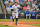 TAMPA, FLORIDA - MARCH 30: Aaron Judge #99 of the New York Yankees runs to first base after hitting a single in the third inning against the Toronto Blue Jays during a Grapefruit League spring training game at George Steinbrenner Field on March 30, 2022 in Tampa, Florida. (Photo by Julio Aguilar/Getty Images)