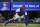 Texas Rangers catcher Jose Trevino reaches down to catch a throw to the plate during a baseball game against the Los Angeles Angels in Arlington, Texas, Wednesday, Sept. 29, 2021. (AP Photo/Tony Gutierrez)