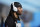 Carolina Panthers cornerback Stephon Gilmore (9) warms-up prior to an NFL football game against the Tampa Bay Buccaneers, Sunday, Dec. 26, 2021, in Charlotte, N.C. (AP Photo/Brian Westerholt)