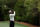 AUGUSTA, GEORGIA - APRIL 09: Tiger Woods plays his shot from the 12th tee during the third round of the Masters at Augusta National Golf Club on April 09, 2022 in Augusta, Georgia. (Photo by Gregory Shamus/Getty Images)
