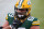 GREEN BAY, WISCONSIN - DECEMBER 06: David Bakhtiari #69 of the Green Bay Packers warms up before the game against the Philadelphia Eagles at Lambeau Field on December 06, 2020 in Green Bay, Wisconsin. (Photo by Dylan Buell/Getty Images)