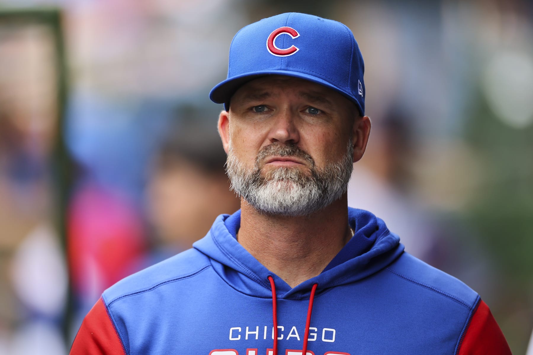 CHICAGO, IL - AUGUST 25: Chicago Cubs manager David Ross (3) walks in the dugout during a regular season game between the St. Louis Cardinals and Chicago Cubs on August 25, 2022, at Wrigley Field in Chicago, IL. (Photo by Brandon Sloter/Icon Sportswire via Getty Images)