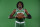 CANTON, MA - SEPTEMBER 26: Robert Williams #44 of the Boston Celtics poses for a portrait on September 26, 2022 at High Output Studios in Canton, Massachusetts.  NOTE TO USER: User expressly acknowledges and agrees that, by downloading and or using this photograph, User is consenting to the terms and conditions of the Getty Images License Agreement. Mandatory Copyright Notice: Copyright 2022 NBAE  (Photo by Brian Babineau/NBAE via Getty Images)