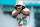 MIAMI GARDENS, FLORIDA - NOVEMBER 13: Xavien Howard #25 of the Miami Dolphins is introduced prior to a game against the Cleveland Browns at Hard Rock Stadium on November 13, 2022 in Miami Gardens, Florida. (Photo by Megan Briggs/Getty Images)