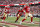 SANTA CLARA, CALIFORNIA - DECEMBER 11: Brock Purdy #13 of the San Francisco 49ers celebrates after scrambling and running for a touchdown during an NFL football game between the San Francisco 49ers and the Tampa Bay Buccaneers at Levi's Stadium on December 11, 2022 in Santa Clara, California. (Photo by Michael Owens/Getty Images)