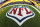 The NFL logo is painted in the end zone at Acrisure Stadium before an NFL football game between the Pittsburgh Steelers and the Baltimore Ravens in Pittsburgh, Sunday, Dec.  11, 2022. (AP Photo/Gene J Puskar)