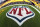 The NFL logo is painted in the end zone at Acrisure Stadium before an NFL football game between the Pittsburgh Steelers and the Baltimore Ravens in Pittsburgh, Sunday, Dec. 11, 2022. (AP Photo/Gene J. Puskar)