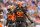 CLEVELAND, OH - NOVEMBER 27: Cleveland Browns defensive end Jadeveon Clowney (90) at the line of scrimmage during the third quarter of the National Football League game between the Tampa Bay Buccaneers and Cleveland Browns on November 27, 2022, at FirstEnergy Stadium in Cleveland, OH. (Photo by Frank Jansky/Icon Sportswire via Getty Images)