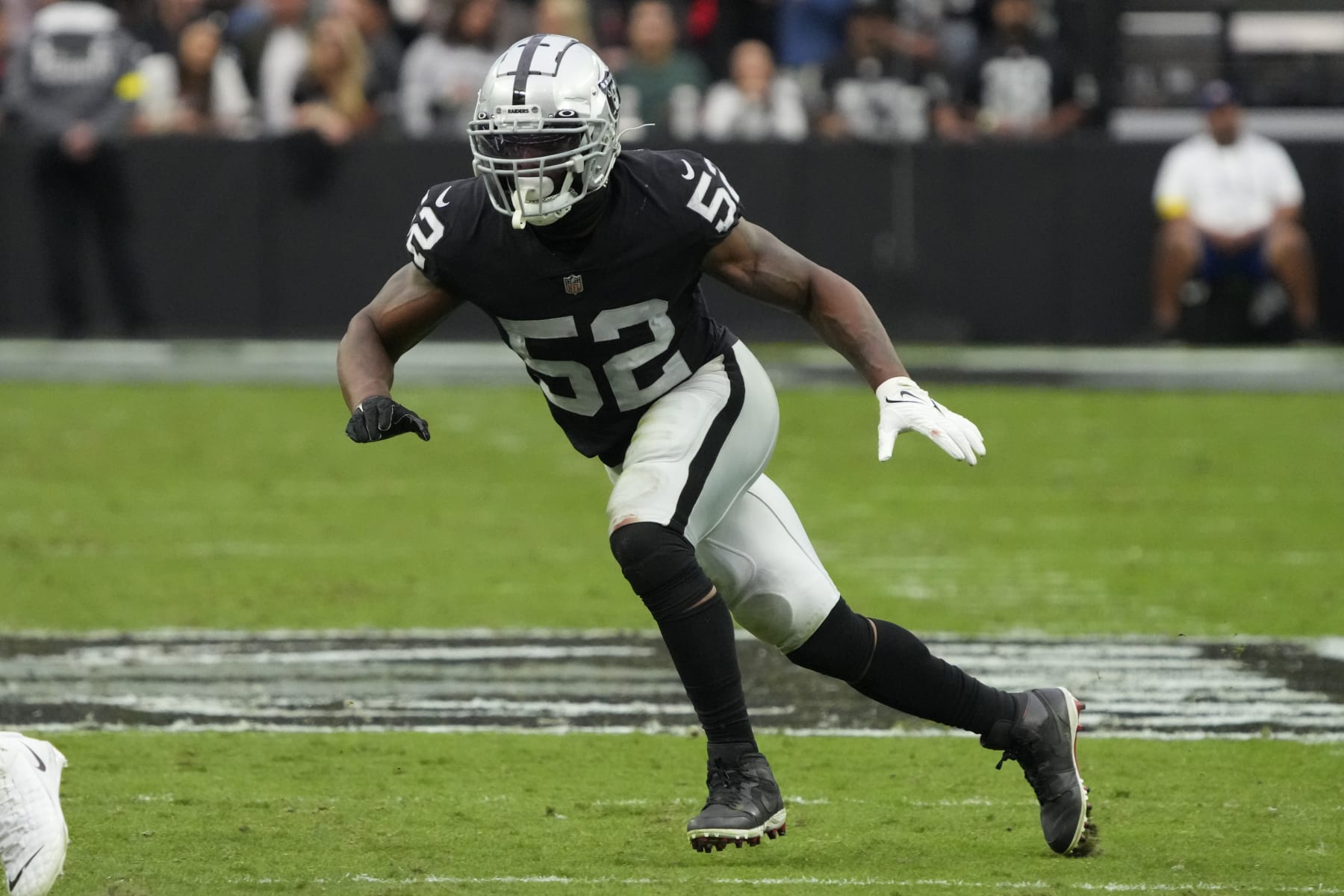 Las Vegas Raiders linebacker Denzel Perryman (52) drops back in coverage during an NFL football game against the Houston Texans, Sunday, Oct 23, 2022, in Las Vegas. (AP Photo/Rick Scuteri)