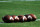 COLUMBIA, SC - SEPTEMBER 01: Piłki nożne Wilson są ustawione na boisku przed meczem między Coastal Carolina Chanticleers i South Carolina Gamecocks na Williams-Brice Stadium 1 września 2018 r. w Columbia, South Carolina. SC wygrało 49-15. (Fot. Lance King/Getty Images)
