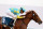 Christophe Lemaire riding Derma Sotogake in the UAE Derby