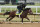 Kingsbarns in a workout at Churchill Downs