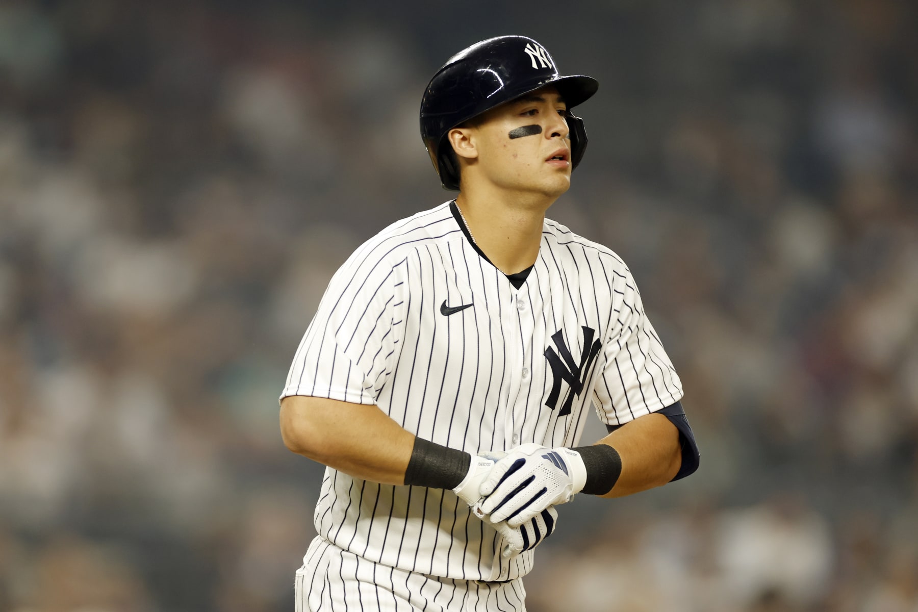 NEW YORK, NEW YORK - JUNE 06: Anthony Volpe #11 of the New York Yankees walks to first during the fourth inning in opposition to the Chicago White Sox at Yankee Stadium on June 06, 2023 in the Bronx borough of New York City. (Characterize by Sarah Stier/Getty Photographs)