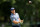 OLYMPIA FIELDS, ILLINOIS - AUGUST 17: Rory McIlroy of Northern Ireland follows his shot from the seventh tee during the first round of the BMW Championship at Olympia Fields Country Club on August 17, 2023 in Olympia Fields, Illinois. (Photo by Stacy Revere/Getty Images)