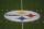 PITTSBURGH, PA - OCTOBER 28:  The Pittsburgh Steelers logo is seen mid field during the game against the Miami Dolphins on October 28, 2019 at Heinz Field in Pittsburgh, Pennsylvania.  (Photo by Justin K. Aller/Getty Images)