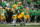 EUGENE, OREGON - OCTOBER 21: Bo Nix #10 of the Oregon Ducks hands off the ball to Bucky Irving #0 of the Oregon Ducks in their game against the Washington State Cougars at Autzen Stadium on October 21, 2023 in Eugene, Oregon. (Photo by Lydia Ely/Getty Images)