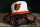 BALTIMORE, MD - APRIL 22: A general view of a Baltimore Orioles hat and glove in the dugout after the game against the Detroit Tigers at Oriole Park at Camden Yards on April 22, 2023 in Baltimore, Maryland. (Photo by Scott Taetsch/Getty Images)