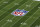 LAS VEGAS, NEVADA - FEBRUARY 11: A detail view of the NFL shield logo painted on the field before the NFL Super Bowl LVIII football game between the Kansas City Chiefs and San Francisco 49ers at Allegiant Stadium on February 11, 2024 in Las Vegas, Nevada. (Photo by Ryan Kang/Getty Images)