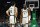 BOSTON, MA - FEBRUARY 9: Jaylen Brown #7 of the Boston Celtics and Jayson Tatum #0 during the first quarter against the Washington Wizards at TD Garden on February 9, 2024 in Boston, Massachusetts. NOTE TO USER: User expressly acknowledges and agrees that, by downloading and/or using this Photograph, user is consenting to the terms and conditions of the Getty Images License Agreement. (Photo By Winslow Townson/Getty Images)