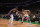 BOSTON, MA - MARCH 14: Jayson Tatum #0 of the Boston Celtics dribbles the ball during the game against the Phoenix Suns on March 14, 2024 at the TD Garden in Boston, Massachusetts. NOTE TO USER: User expressly acknowledges and agrees that, by downloading and or using this photograph, User is consenting to the terms and conditions of the Getty Images License Agreement. Mandatory Copyright Notice: Copyright 2024 NBAE (Photo by Brian Babineau/NBAE via Getty Images)