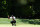 AUGUSTA, GEORGIA - APRIL 13: Tiger Woods of the United States lines up a putt on the fourth green during the third round of the 2024 Masters Tournament at Augusta National Golf Club on April 13, 2024 in Augusta, Georgia. (Photo by Maddie Meyer/Getty Images)
