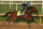 LOUISVILLE, KENTUCKY - APRIL 28: Stronghold runs on the track during the morning training for the Kentucky Derby at Churchill Downs on April 28, 2024 in Louisville, Kentucky. (Photo by Andy Lyons/Getty Images)