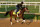 LOUISVILLE, KENTUCKY - APRIL 28: Fierceness runs on the track during the morning training for the Kentucky Derby at Churchill Downs on April 28, 2024 in Louisville, Kentucky. (Photo by Andy Lyons/Getty Images)