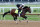 LOUISVILLE, KENTUCKY - APRIL 28: Sierra Leone runs on the track during the morning training for the Kentucky Derby at Churchill Downs on April 28, 2024 in Louisville, Kentucky. (Photo by Andy Lyons/Getty Images)