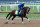 LOUISVILLE, KENTUCKY - APRIL 28: Catching Freedom runs on the track during the morning training for the Kentucky Derby at Churchill Downs on April 28, 2024 in Louisville, Kentucky. (Photo by Andy Lyons/Getty Images)