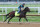 LOUISVILLE, KENTUCKY - APRIL 28: Honor Marie runs on the track during the morning training for the Kentucky Derby at Churchill Downs on April 28, 2024 in Louisville, Kentucky. (Photo by Andy Lyons/Getty Images)