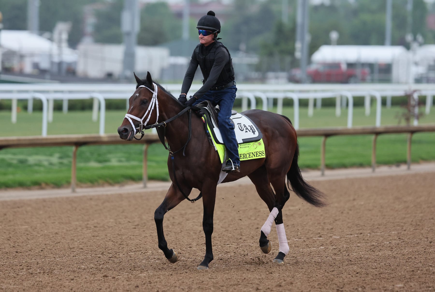 LOUISVILLE, KENTUCKY - APRIL 28: Fierceness walks on the track during the morning training for the Kentucky Derby at Churchill Downs on April 28, 2024 in Louisville, Kentucky. (Photo by Andy Lyons/Getty Images)