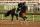 Track Phantom