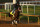 Kentucky Derby contender Fierceness