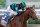 LOUISVILLE, KENTUCKY - MAY 04: Jockey Brian J. Hernandez Jr.  rides Mystik Dan #3 out of the fourth turn to win the 150th running of the Kentucky Derby at Churchill Downs on May 04, 2024 in Louisville, Kentucky. (Photo by Kevin C. Cox/Getty Images)