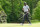 CHARLOTTE, NORTH CAROLINA - MAY 09: Sahith Theegala waves his ball on the 12th green during the first round of Wells Fargo Championship at Quail Hollow Club on May 9, 2024 in Charlotte, North Carolina. (Photo by Ben Jared/PGA TOUR via Getty Images)