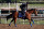 Preakness favorite Muth