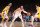 NEW YORK, NY - MAY 19: Jalen Brunson #11 of the New York Knicks dribbles the ball during the game against the Indiana Pacers during Round 2 Game 7 of the 2024 NBA Playoffs on May 19, 2024 at Madison Square Garden in New York City, New York. NOTE TO USER: User expressly acknowledges and agrees that, by downloading and or using this photograph, User is consenting to the terms and conditions of the Getty Images License Agreement. Mandatory Copyright Notice: Copyright 2024 NBAE (Photo by Nathaniel S. Butler/NBAE via Getty Images)