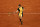 PARIS, FRANCE - MAY 31: Stefanos Tsitsipas of Greece plays a forehand against Zhang Zhizhen of China in the Men's Singles Third Round match during Day Six of the 2024 French Open at Roland Garros on May 31, 2024 in Paris, France. (Photo by Clive Brunskill/Getty Images)